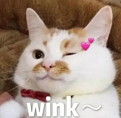 61.jpg