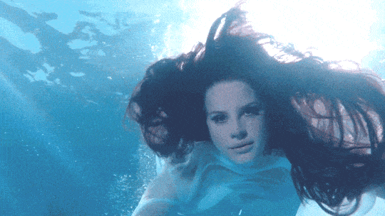 4.gif