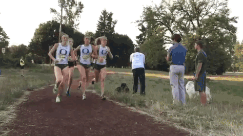 3.gif