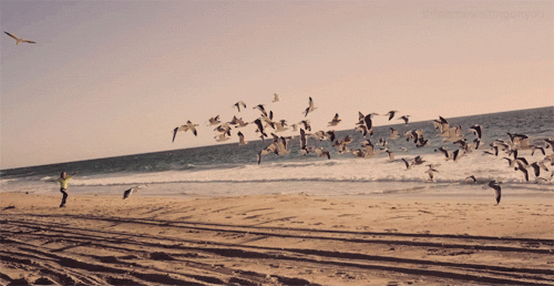 3.gif
