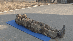 10.gif