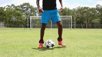 2.gif