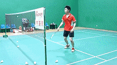 6.gif