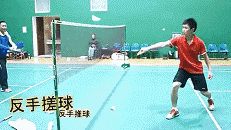 10.gif
