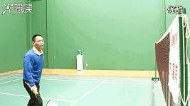 13.gif