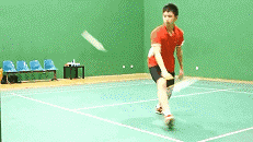 17.gif