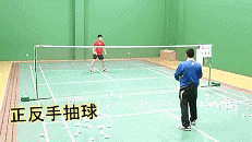 19.gif