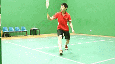 20.gif