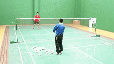 21.gif