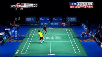 5.gif