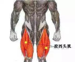 4.jpg 4.jpg