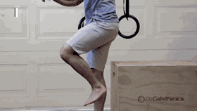 10.gif
