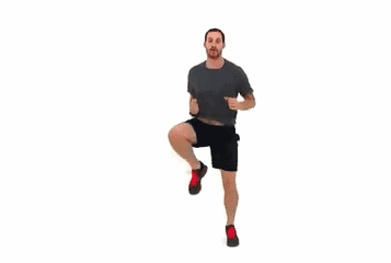 11.gif 11.gif