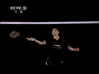 5.gif