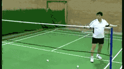 8.gif
