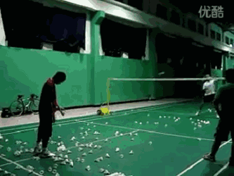 5.gif