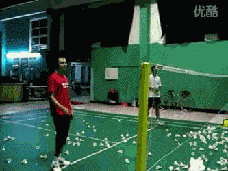 6.gif