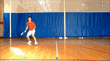 17.gif