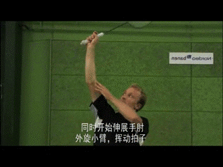 1.gif